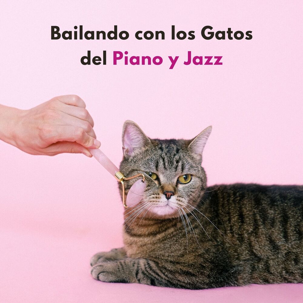 Picture of Bailando Con Los Gatos Del Piano Y Jazz