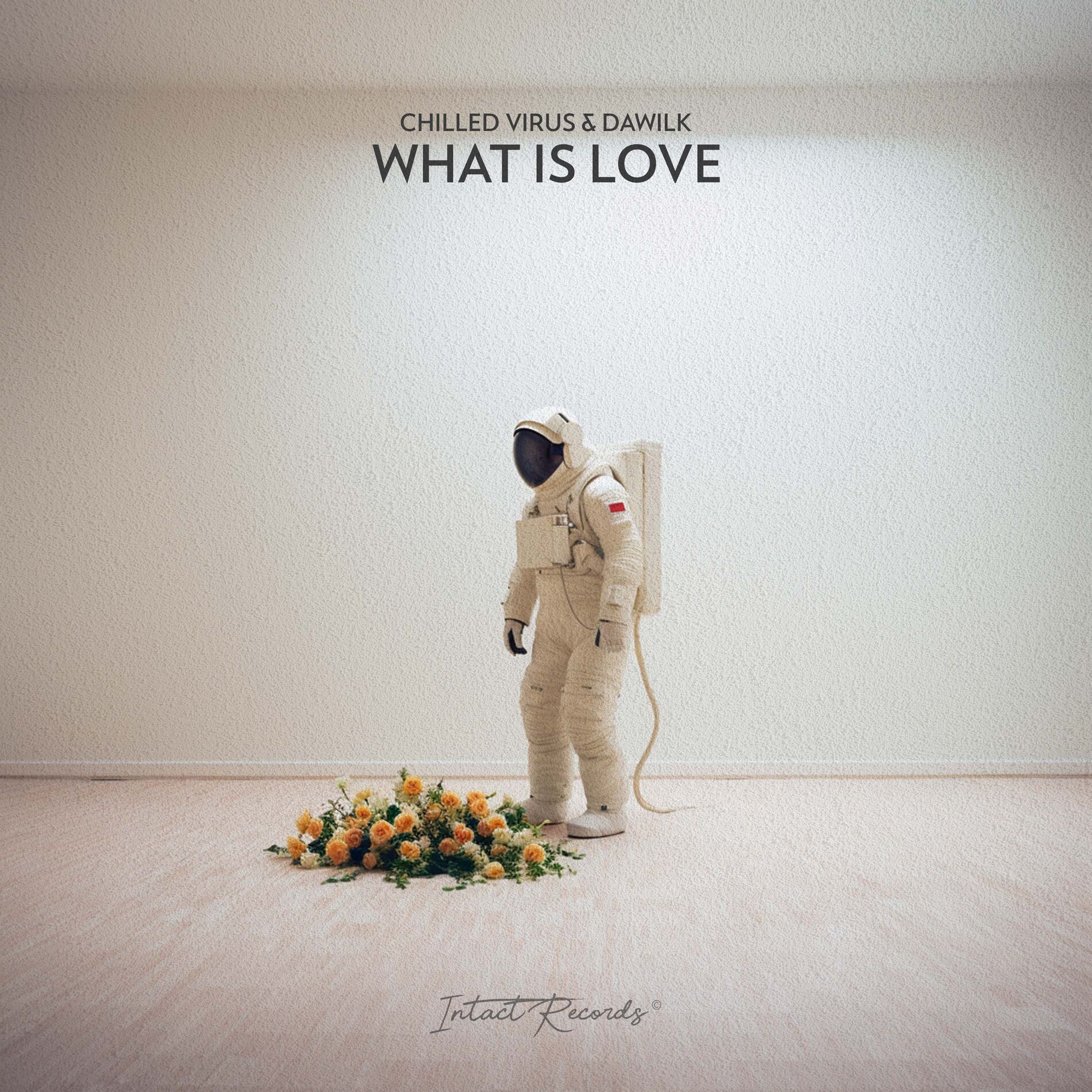 Album cover of What Is Love