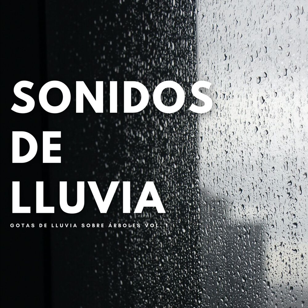 Picture of Sonidos De Lluvia: Gotas De Lluvia Sobre Árboles Vol. 1