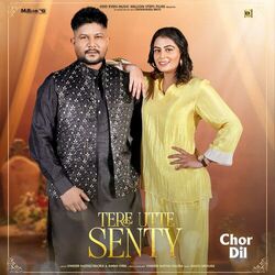 Cover of Tere Utte Senty (From "Chor Dil")