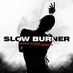 Cover of Slow Burner
