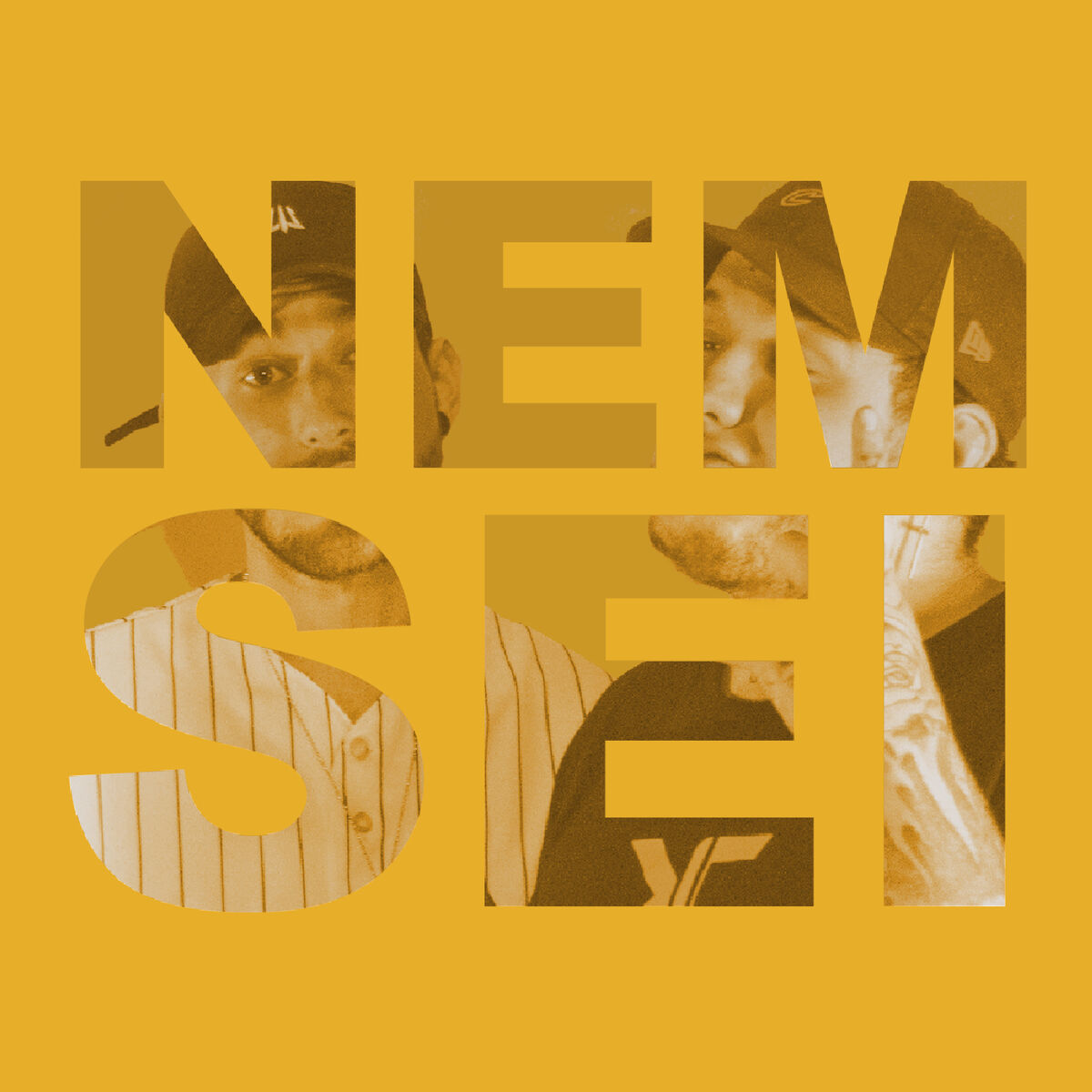 Album cover of Nem Sei