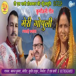 Cover of Meri Gopuli