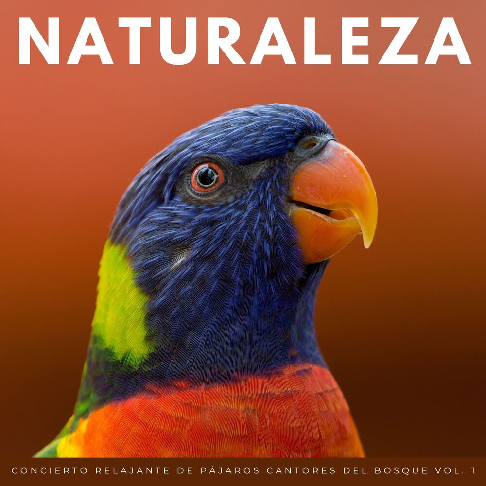Picture of Naturaleza: Concierto Relajante De Pájaros Cantores Del Bosque Vol. 1