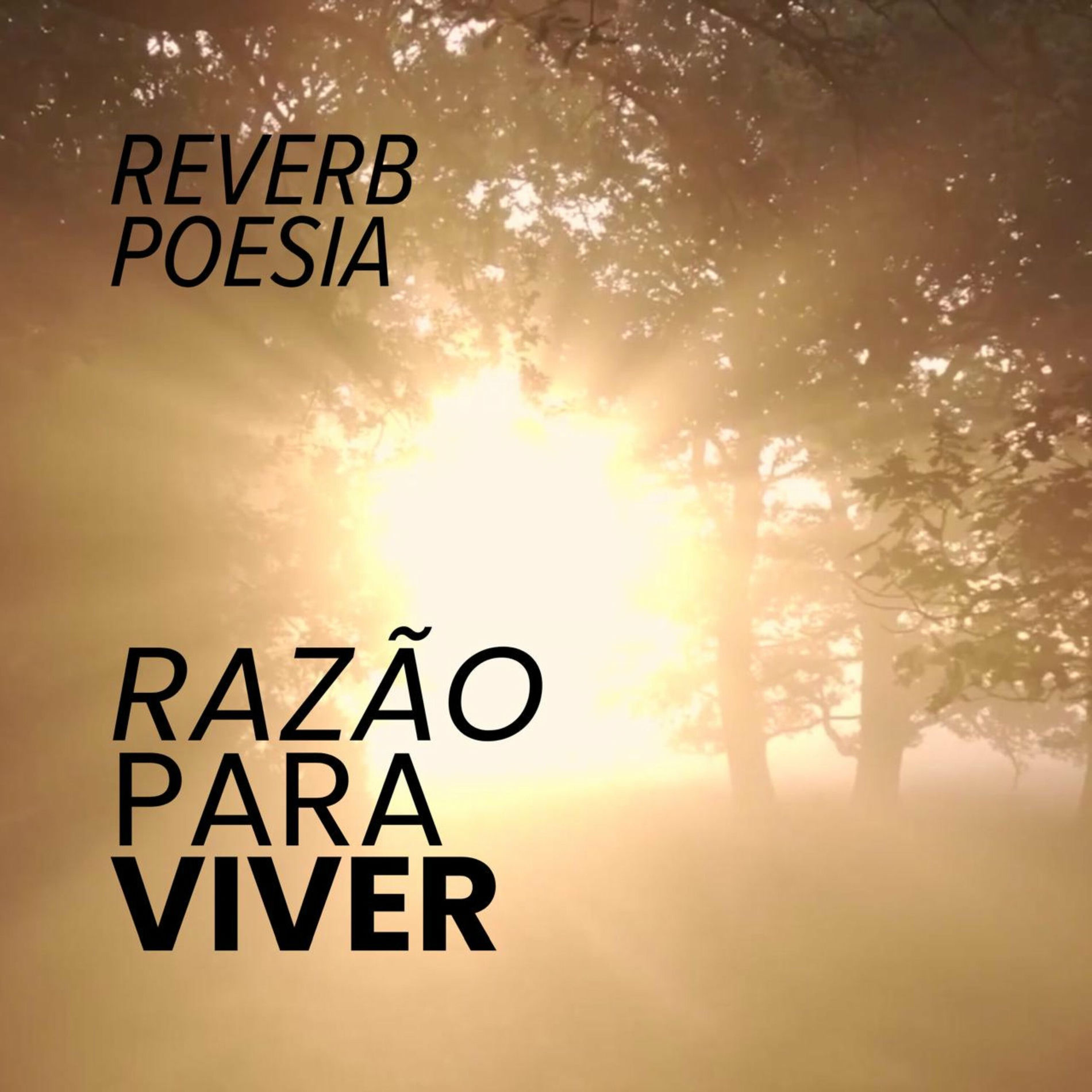 Album cover of Razão para Viver