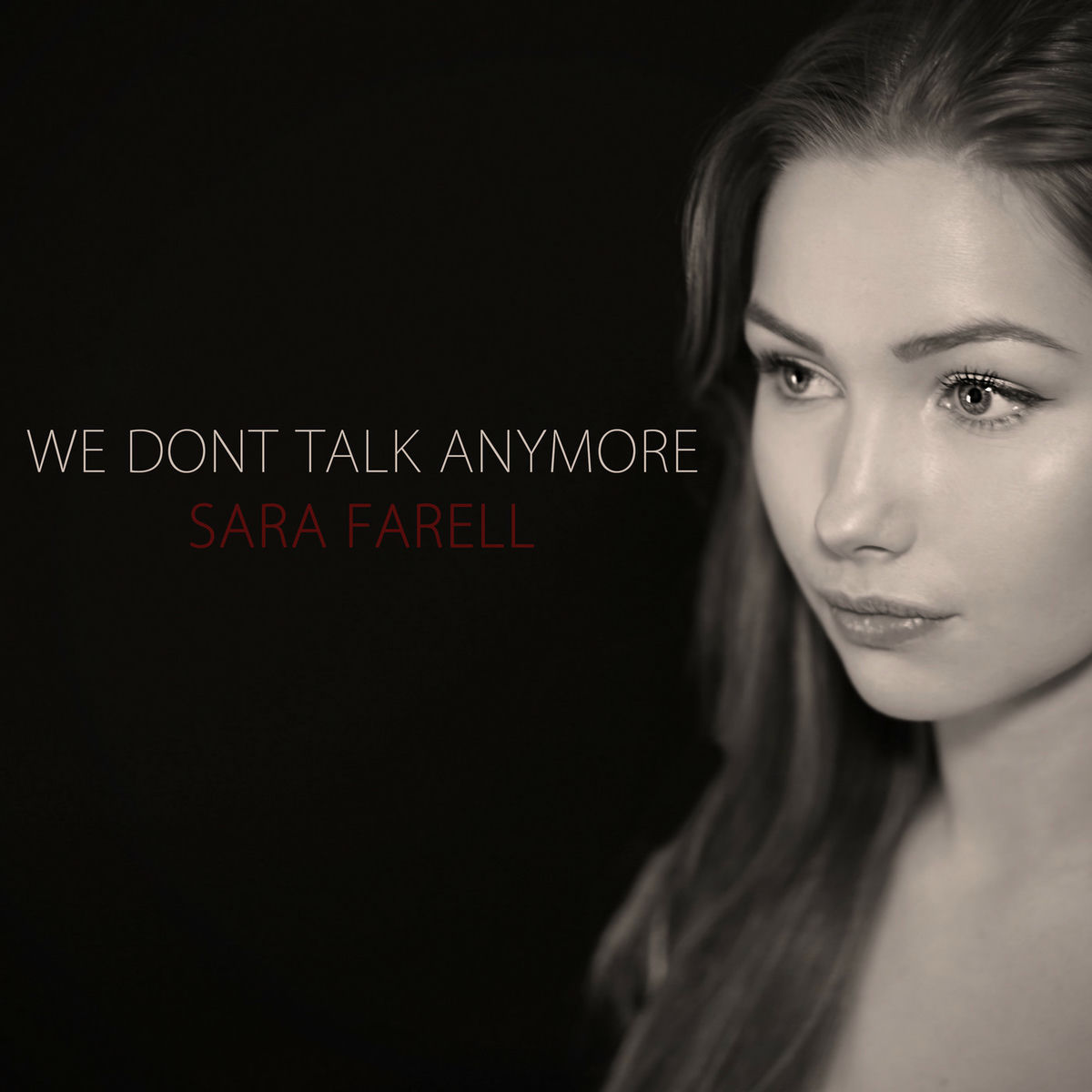 Album cover of We Don't Talk Anymore