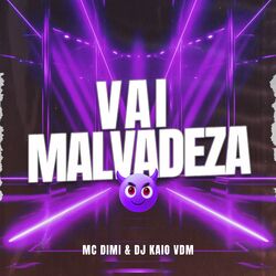 Cover of Vai Malvadeza
