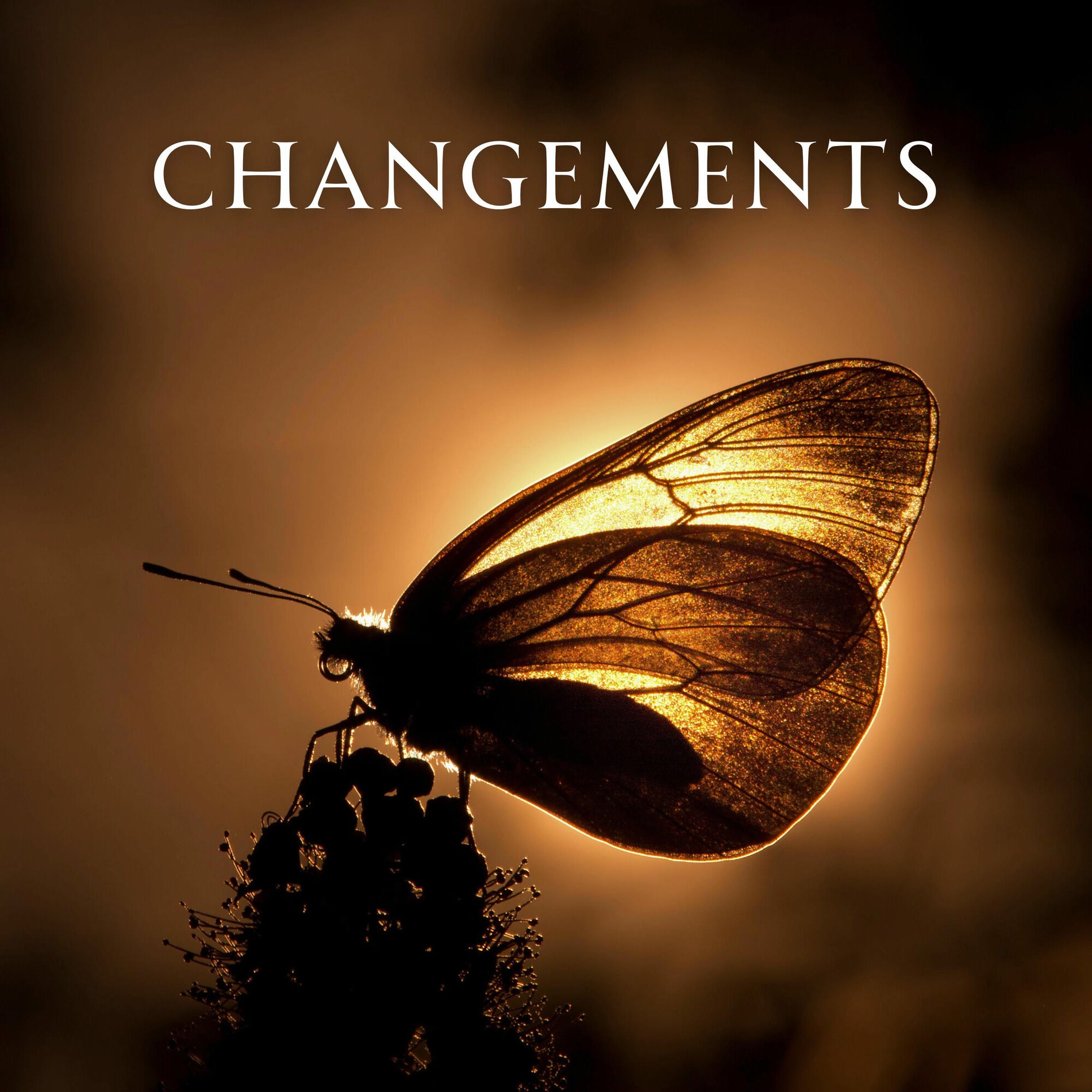 Album cover of Changements