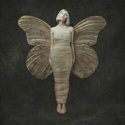 Cover of All My Demons Greeting Me as a Friend (Deluxe)