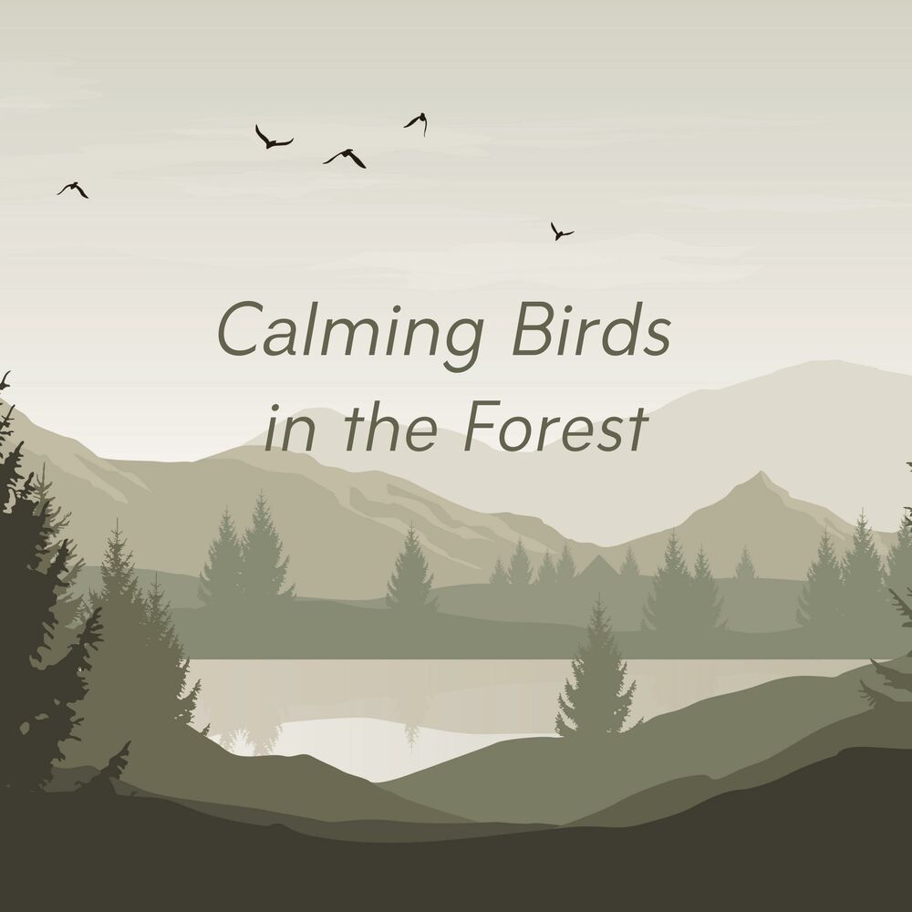 Picture of Calming Birds in the Forest