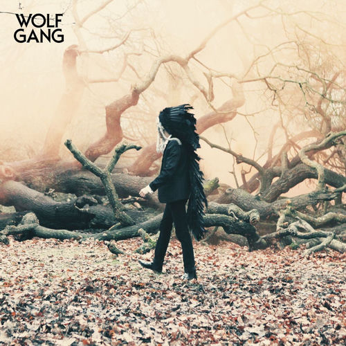 Wolf Gang sleeve