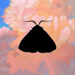 Cover of Moth to the Flame (Olga Bell Remix)