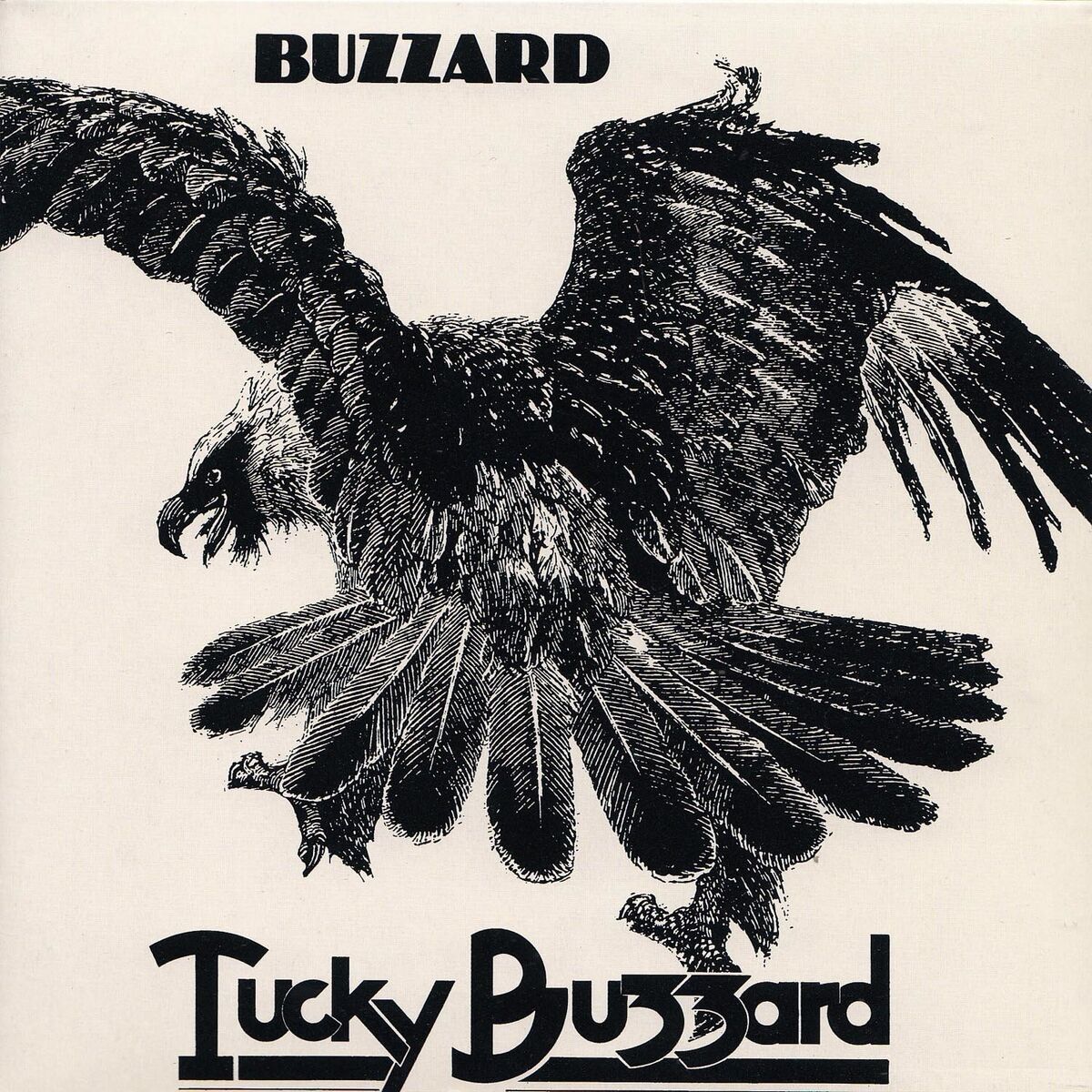 Album cover of Buzzard