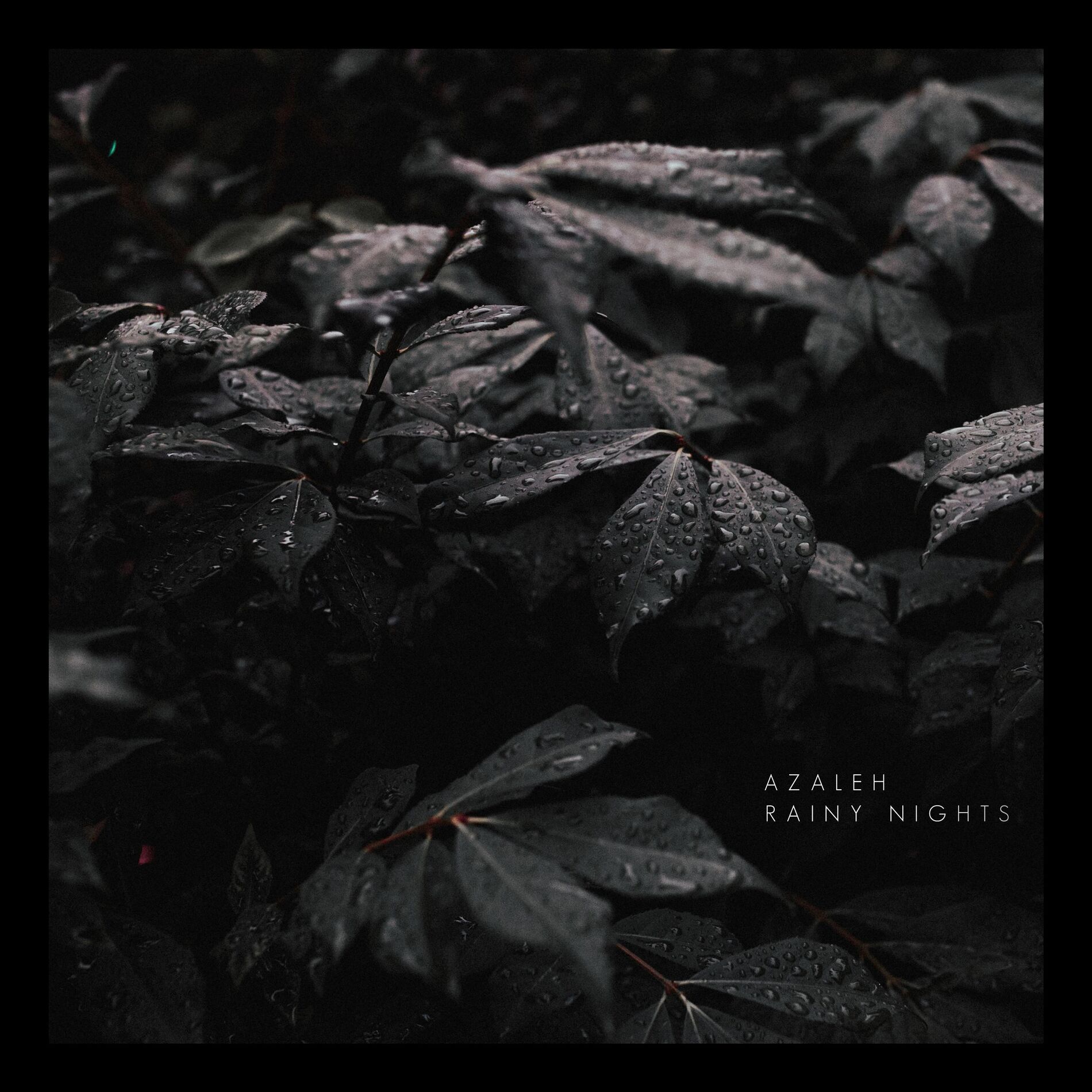Album cover of Rainy Nights