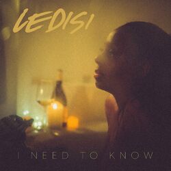 Cover of I Need To Know