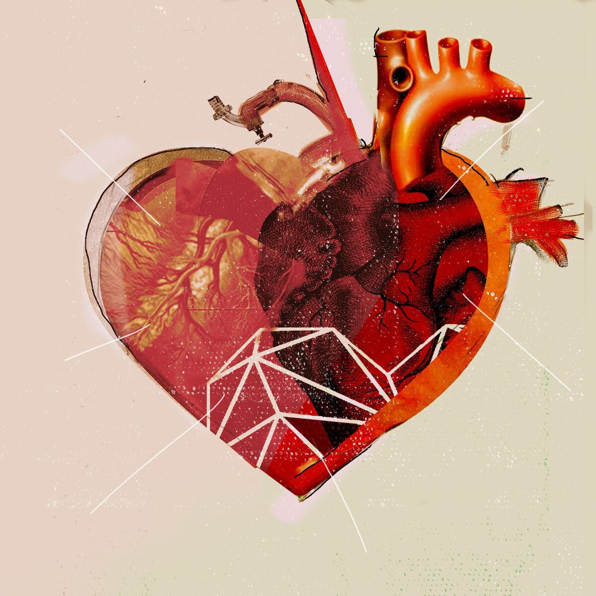 Album cover of Herz zerfetzt