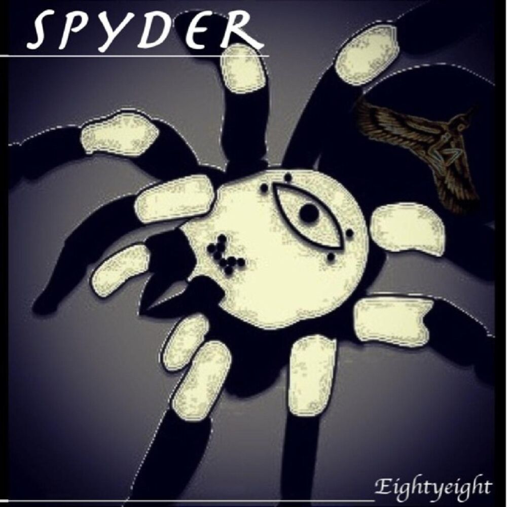 Picture of Spyder (8 Eyes 8 Legs)