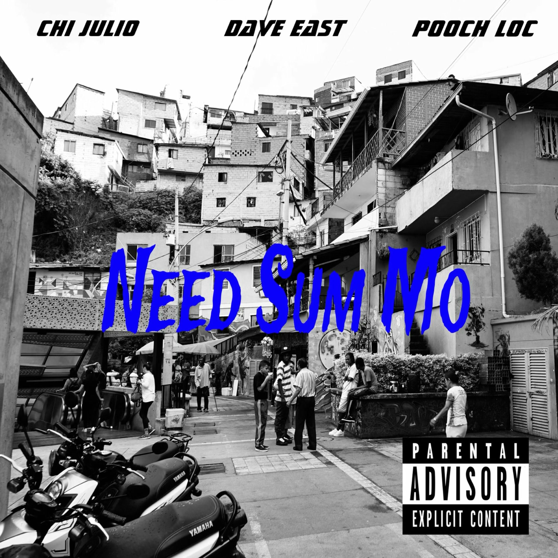 Album cover of Need Sum Mo