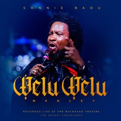 Cover of Welu Welu Medley (Live at the Buckhead Theatre)