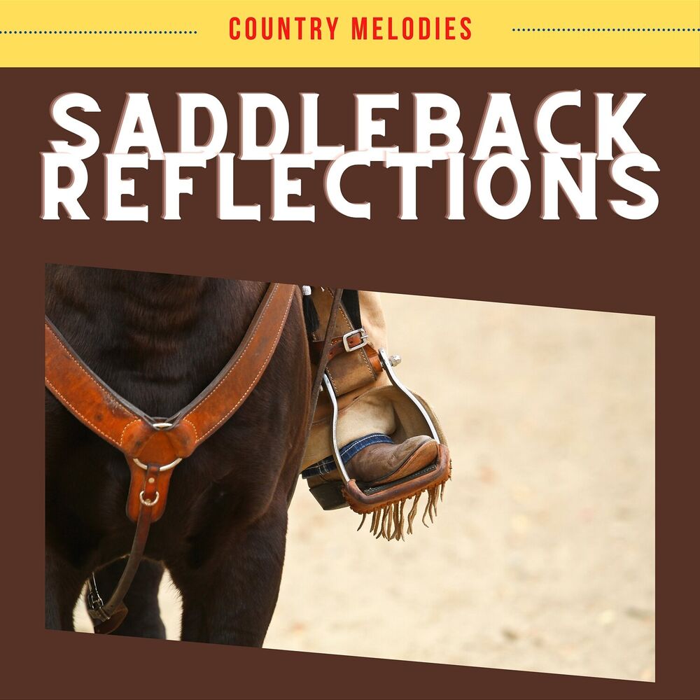 Picture of Saddleback Reflections