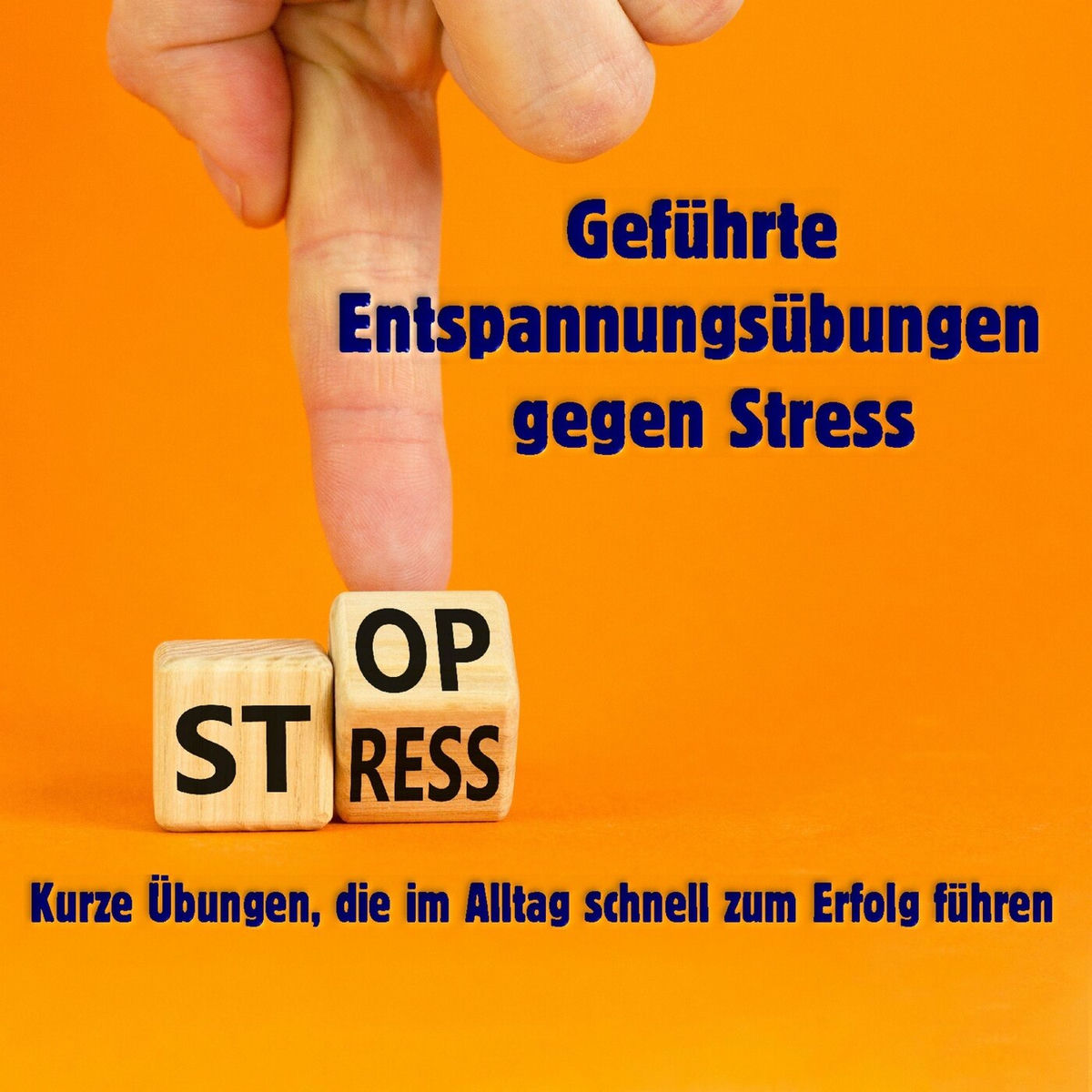 Album cover of Geführte Entspannungsübungen gegen Stress - Kurze Übungen, die im Alltag schnell zum Erfolg führen