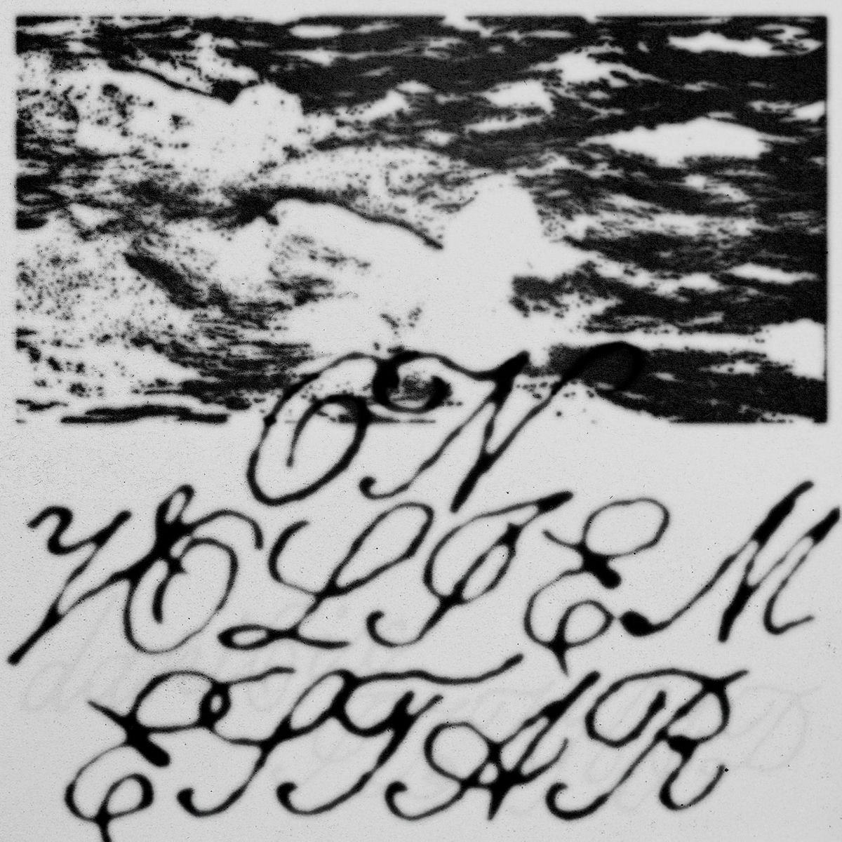 Album cover of on volíem estar