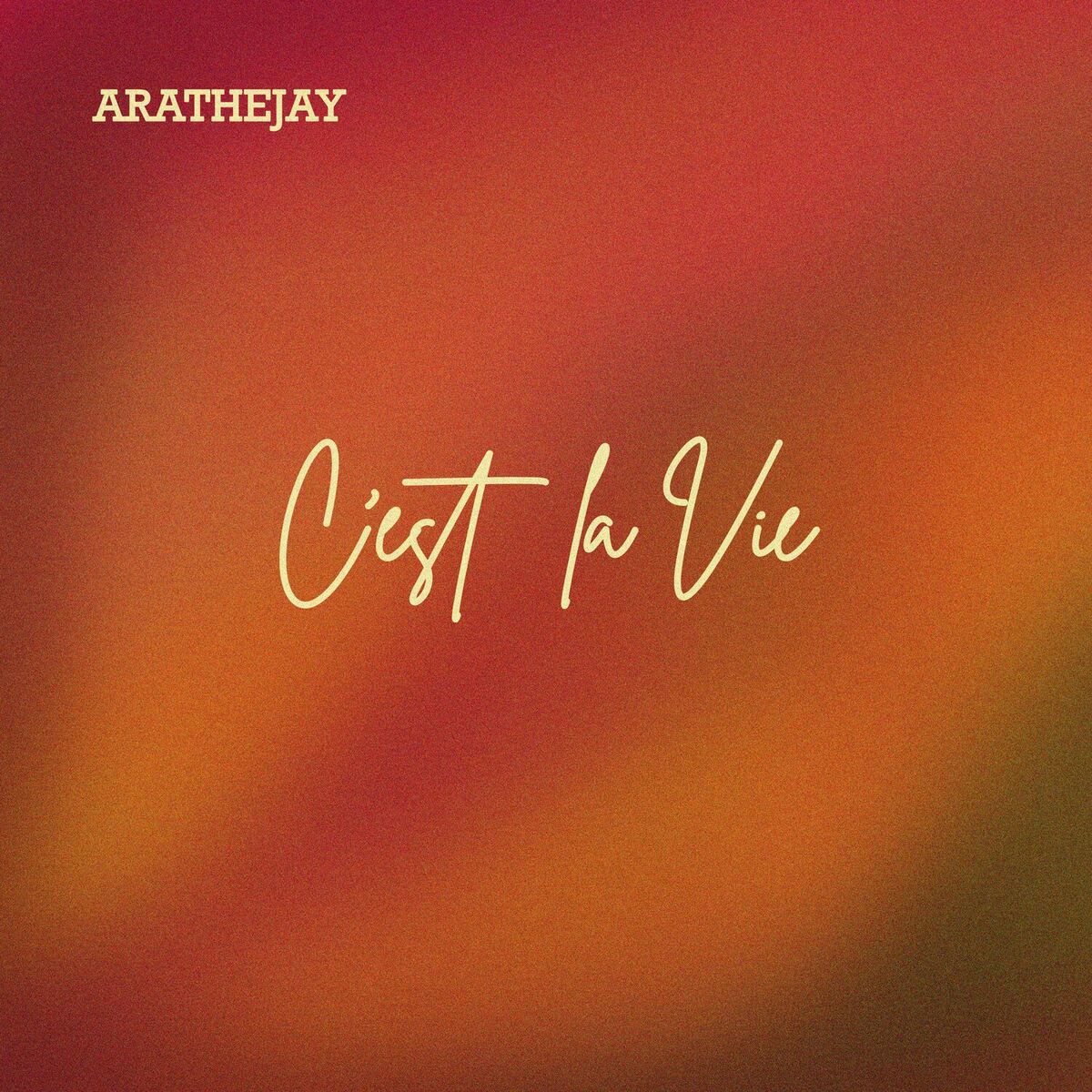 Album cover of C'est La Vie