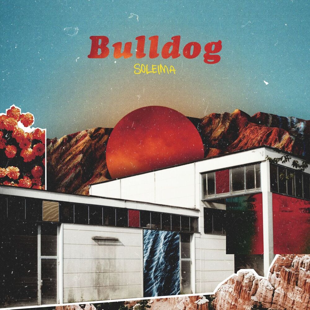 Picture of Bulldog
