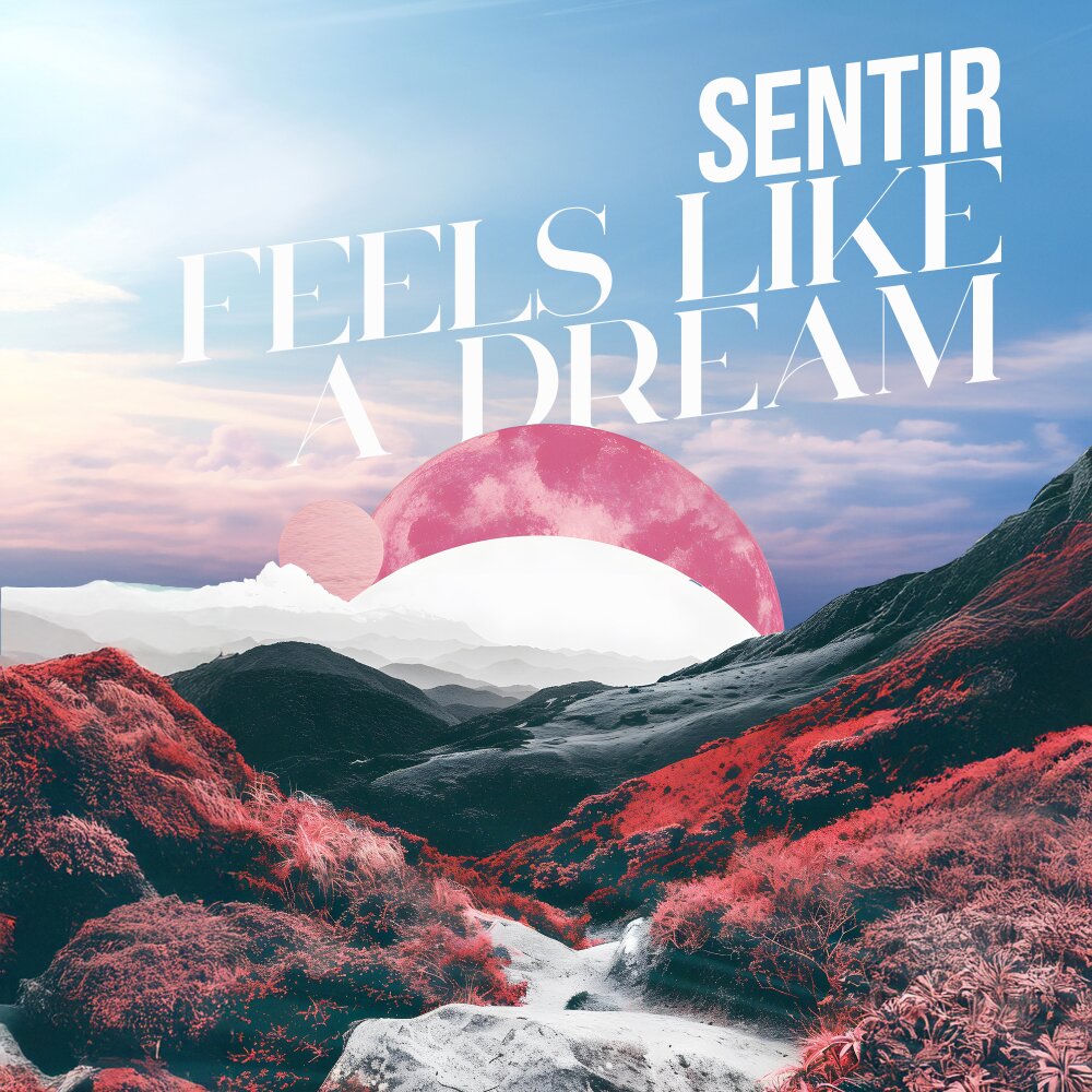 Feels Like A Dream (Radio Edit)