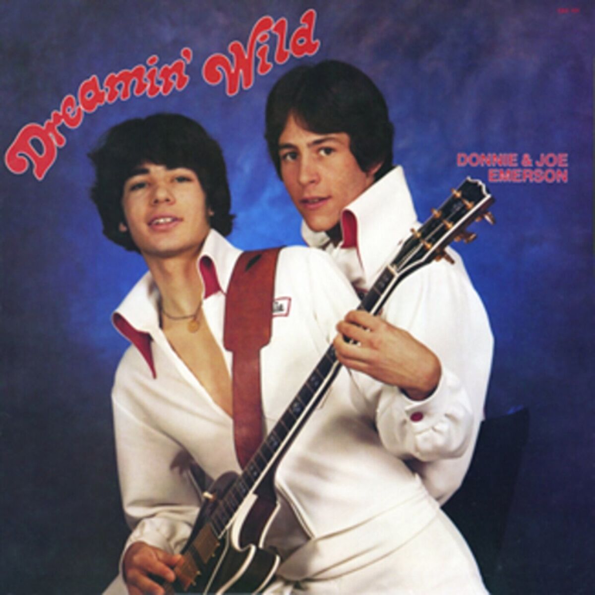 Album cover of Dreamin' Wild