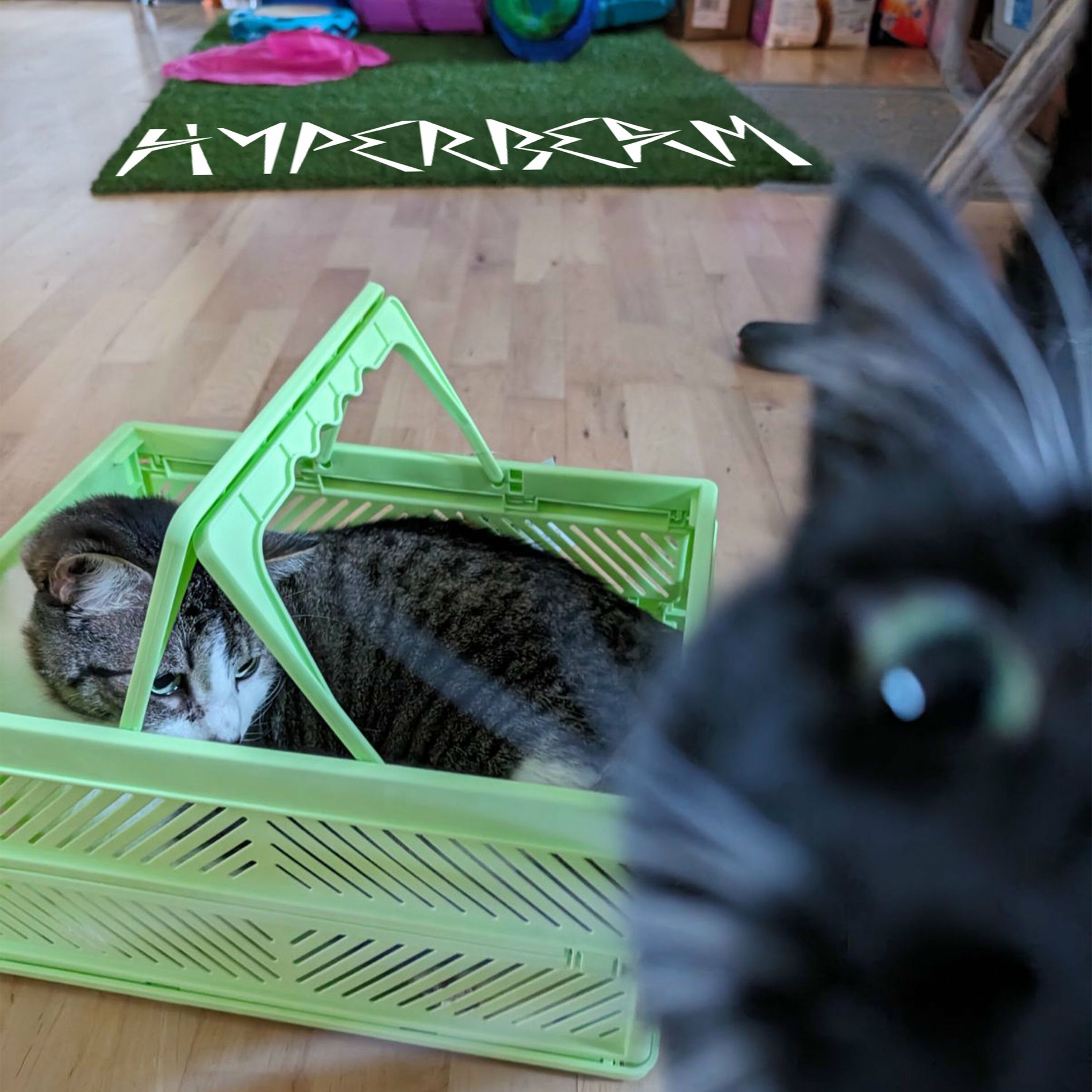 Album cover of Just Thought I'd Stop By To See If You Care Yet