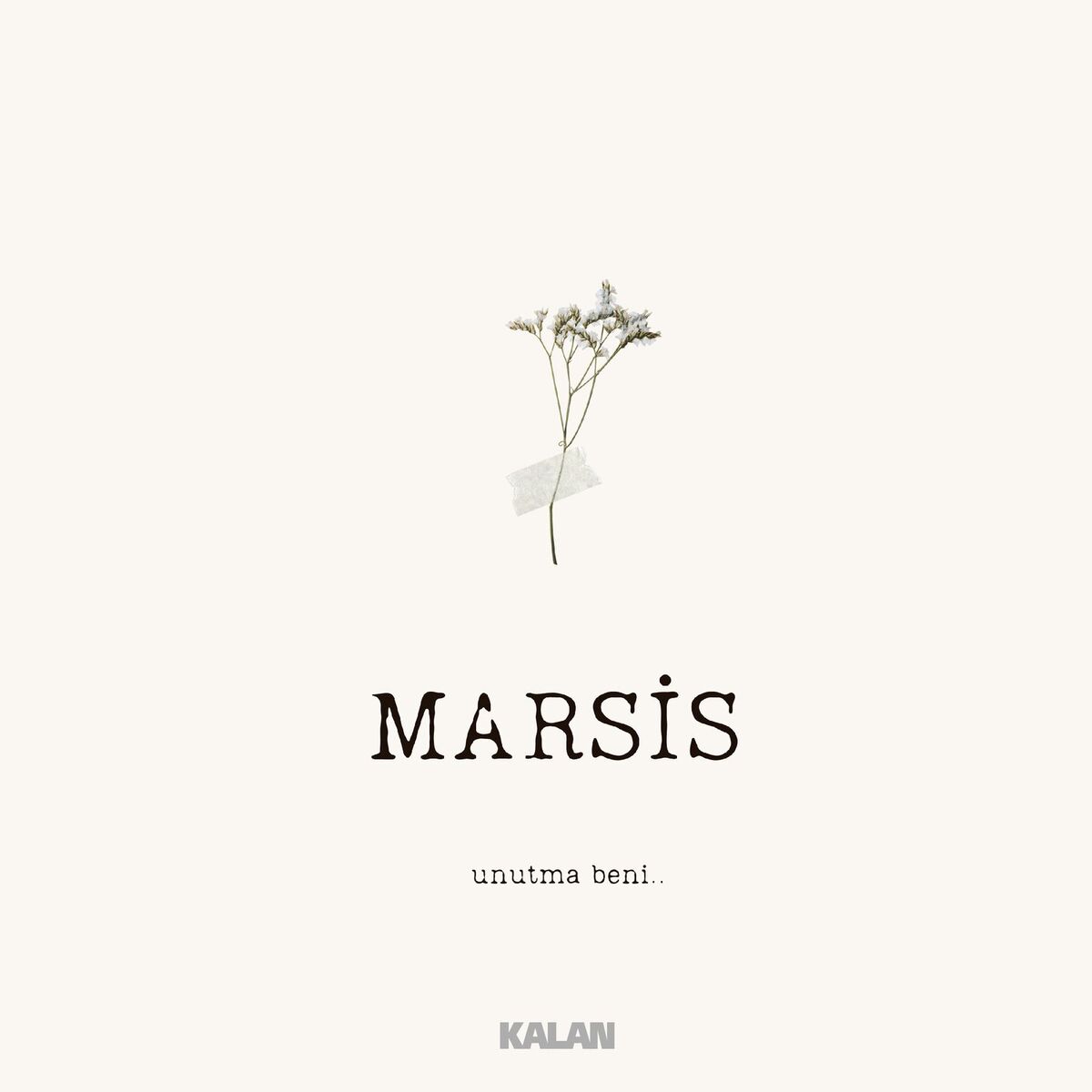 Album cover of Unutma Beni