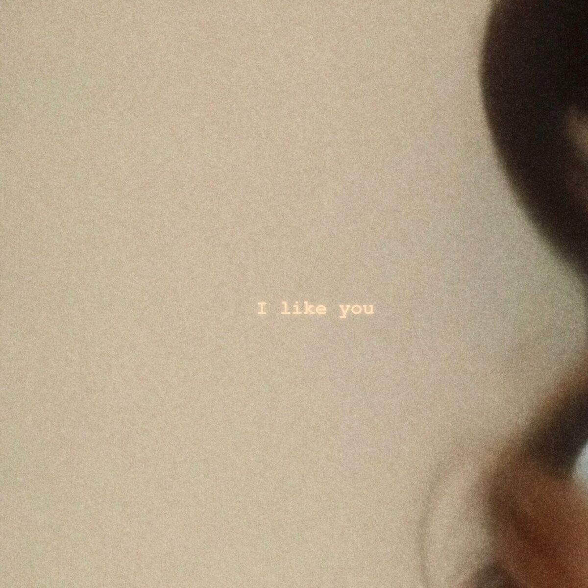 Album cover of I like you