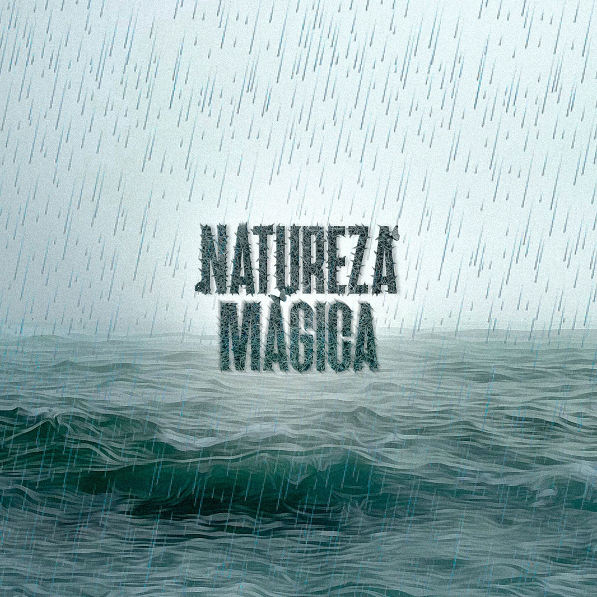 Album cover of Sailing in the Storm