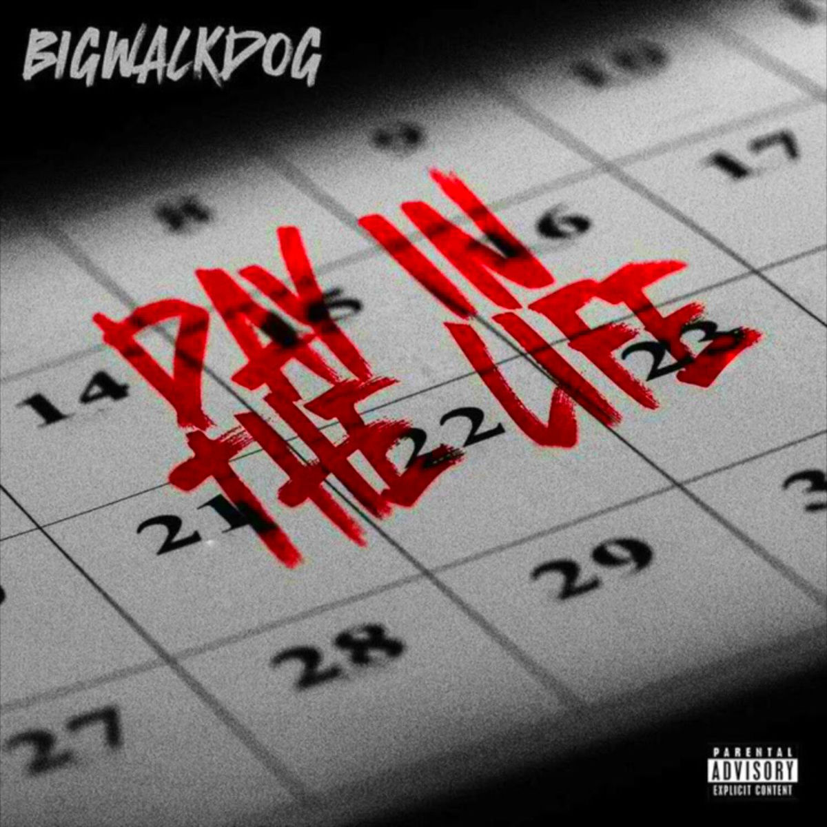Album cover of Day in the Life