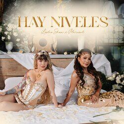 Cover of Hay Niveles