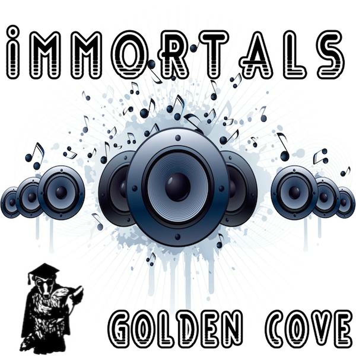 Album cover of A Tribute to Fall Out Boy's Immortals
