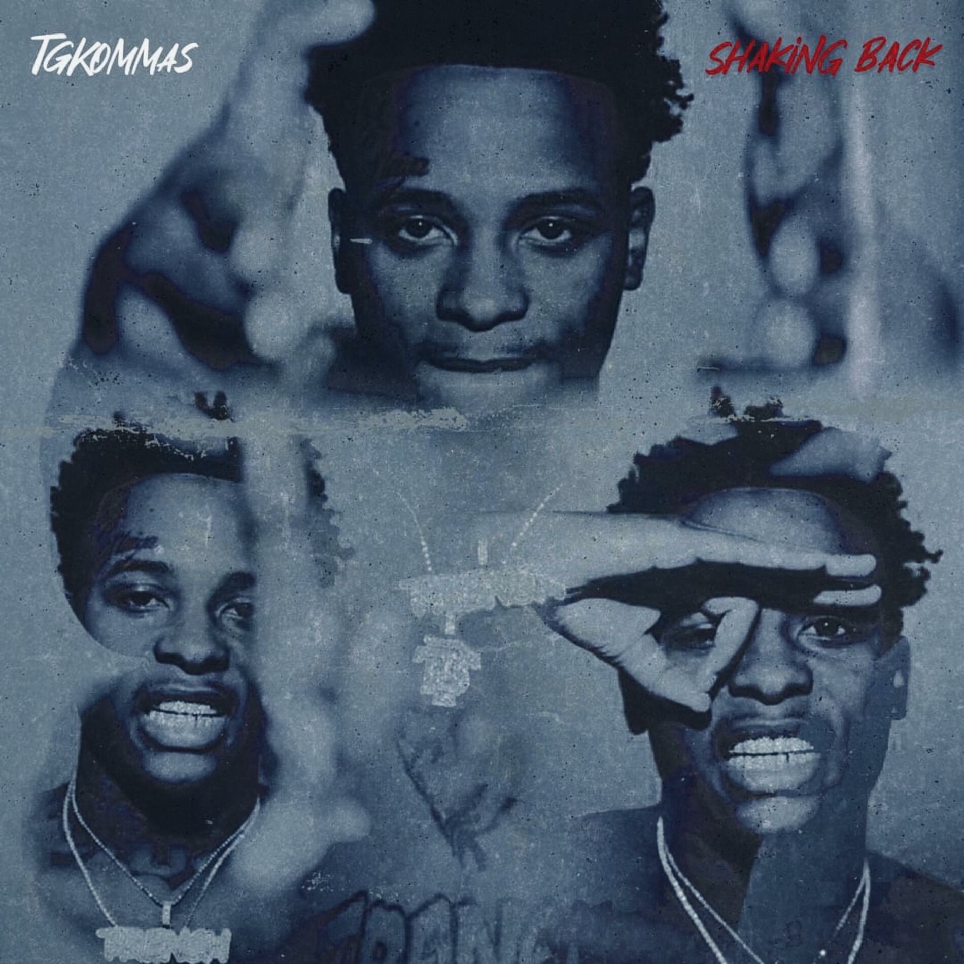 Album cover of Shaking Back (Deluxe)