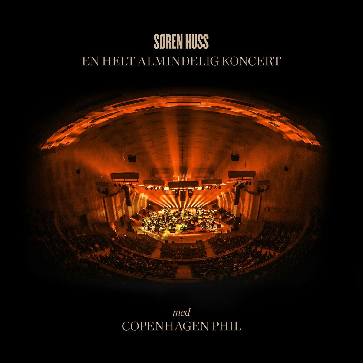 Album cover of En Helt Almindelig Koncert (Live)