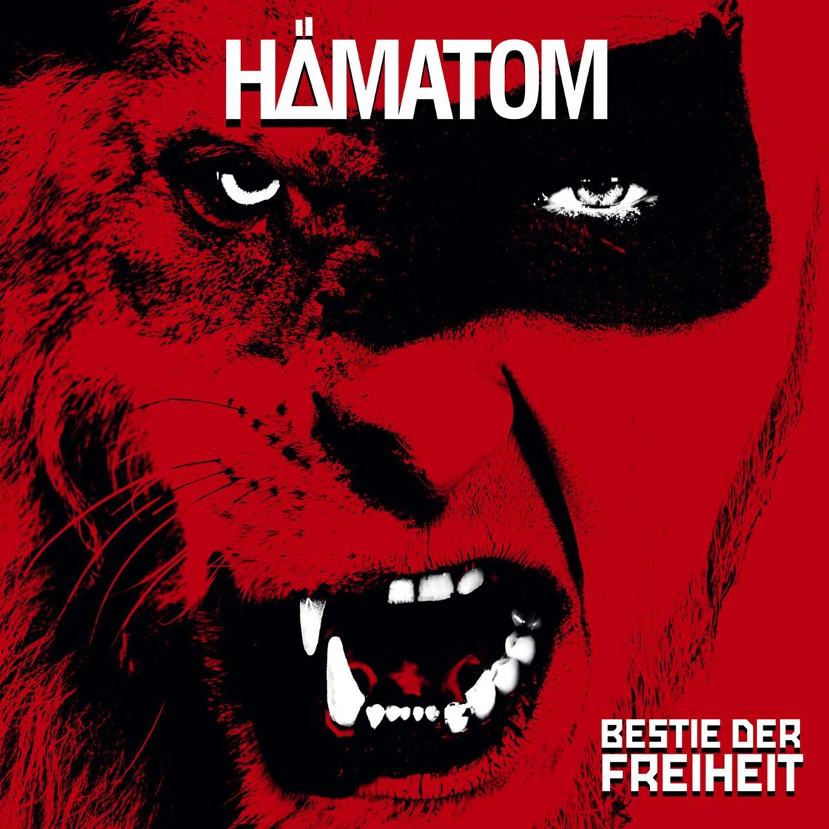 Album cover of Lauter