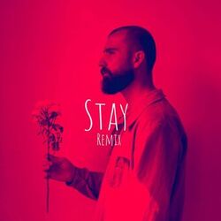 Stay (Remix)