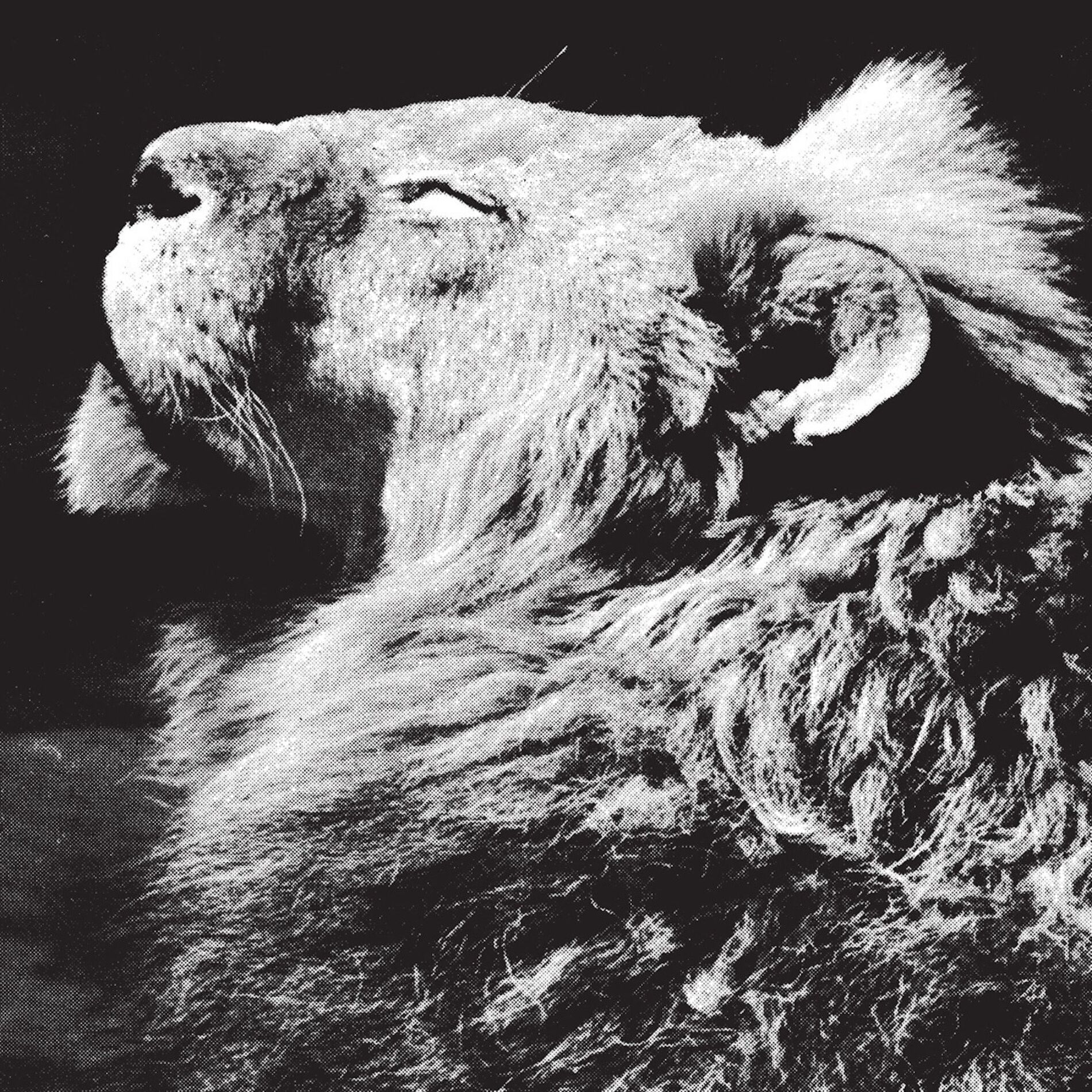 Album cover of El Portal