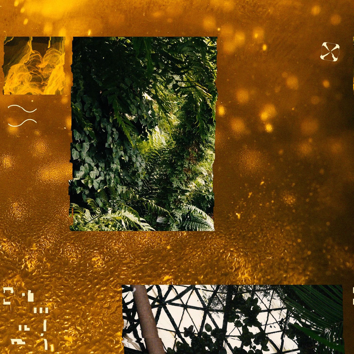 Album cover of Honeyhaze