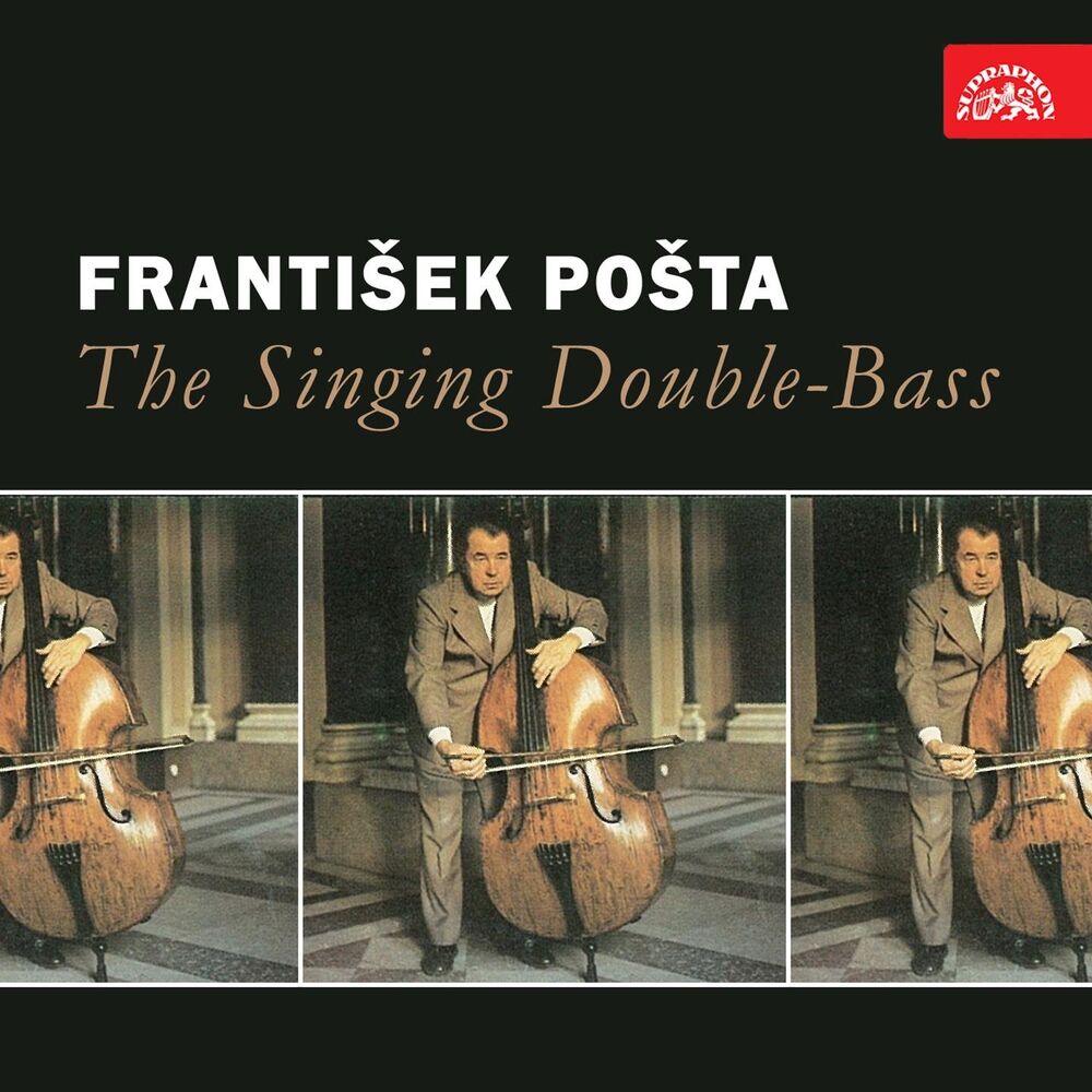 Picture of The Singing Double-Bass