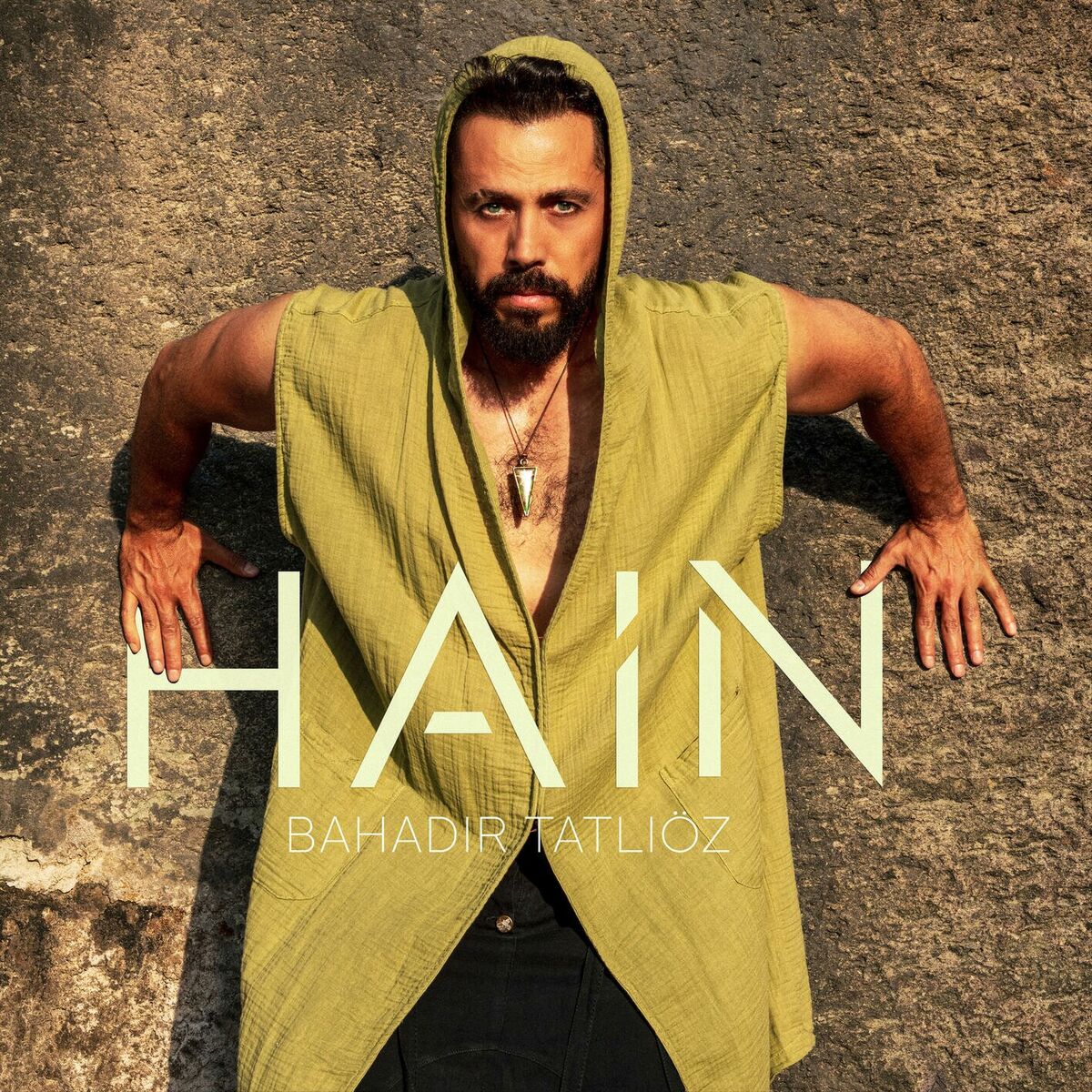 Album cover of Hain