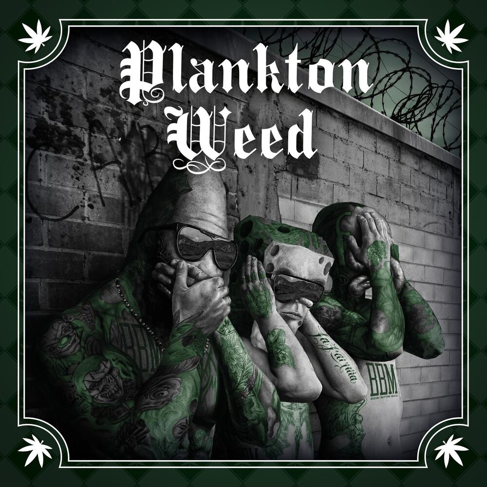 Picture of Planktonweed Tape