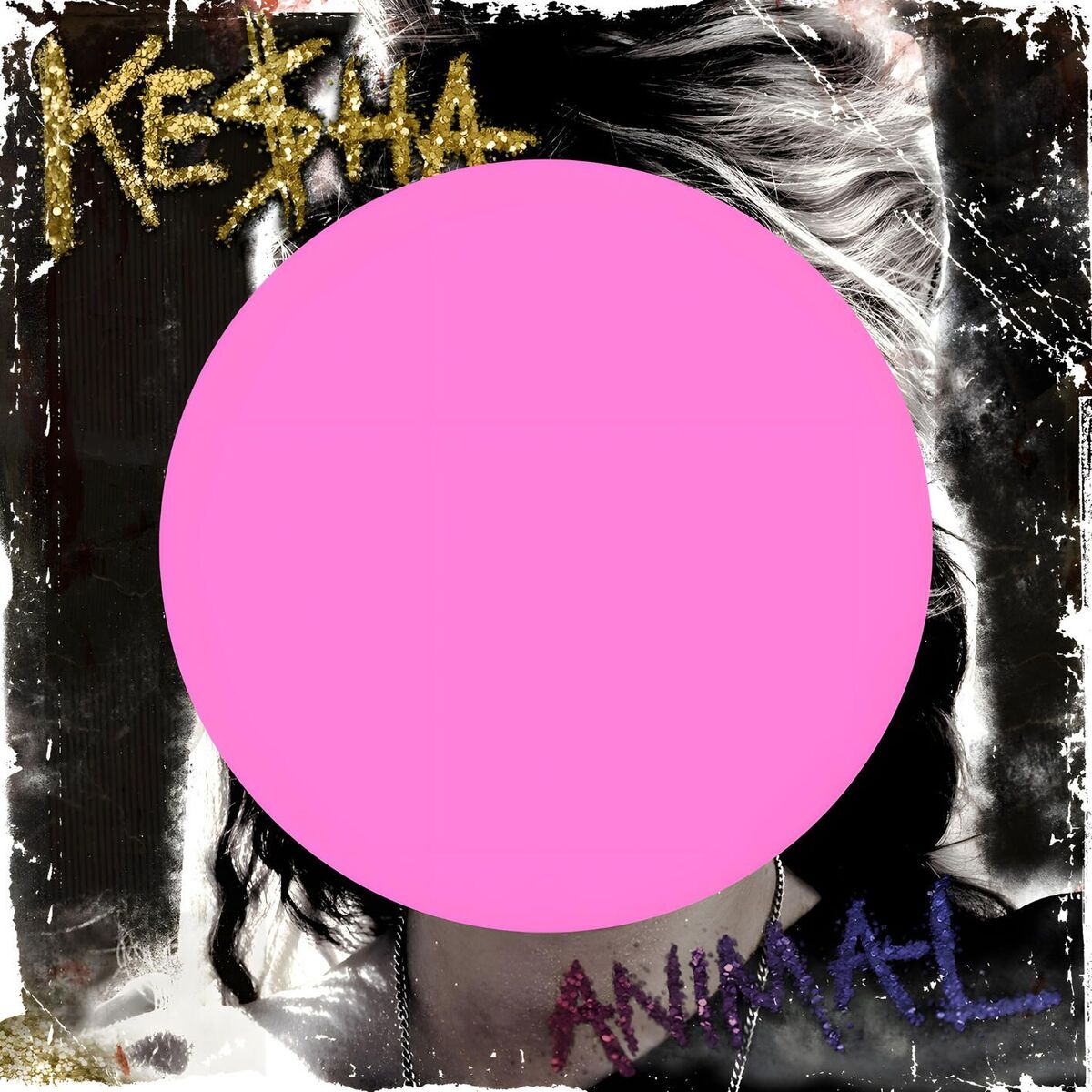 Album cover of Animal (Expanded Edition)