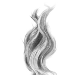 Cover of Fire