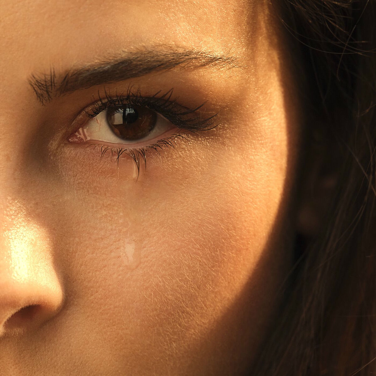 Album picture of Loyal to myself