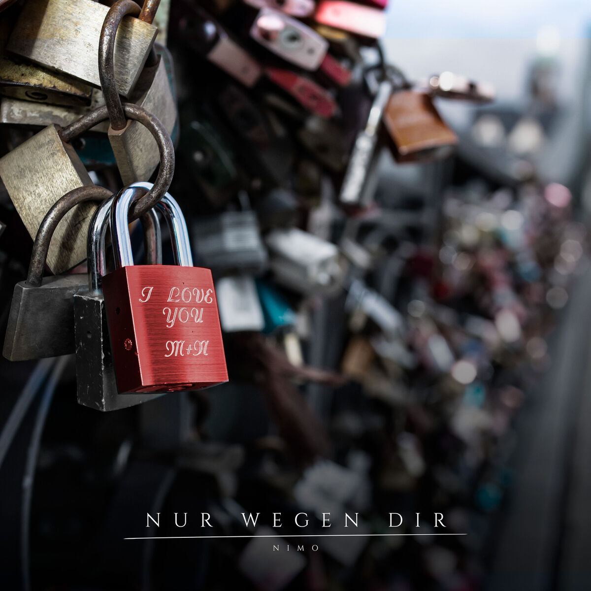Album cover of Nur wegen dir